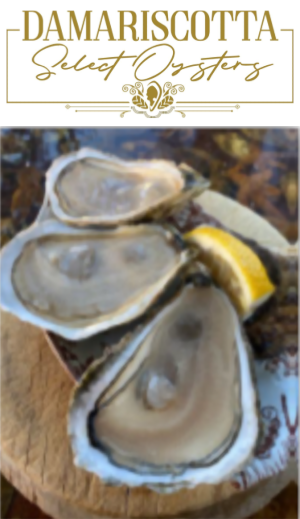 Damariscotta Selects