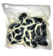 Canadian Cove Frozen Pack Mussels
