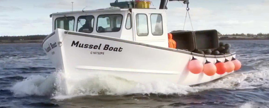 PEI Rope-Grown Blue Mussels