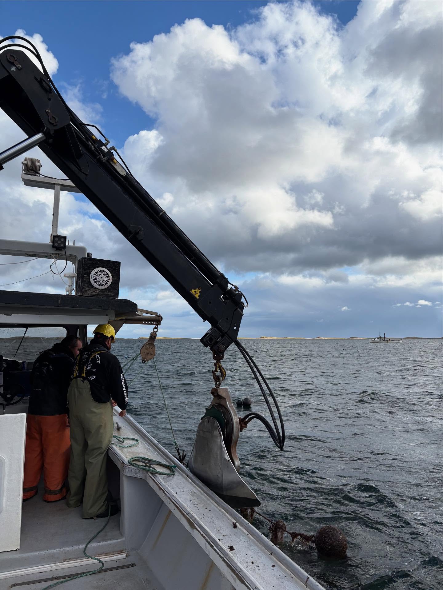 Crew operating a crane on a harvesting boat at sea