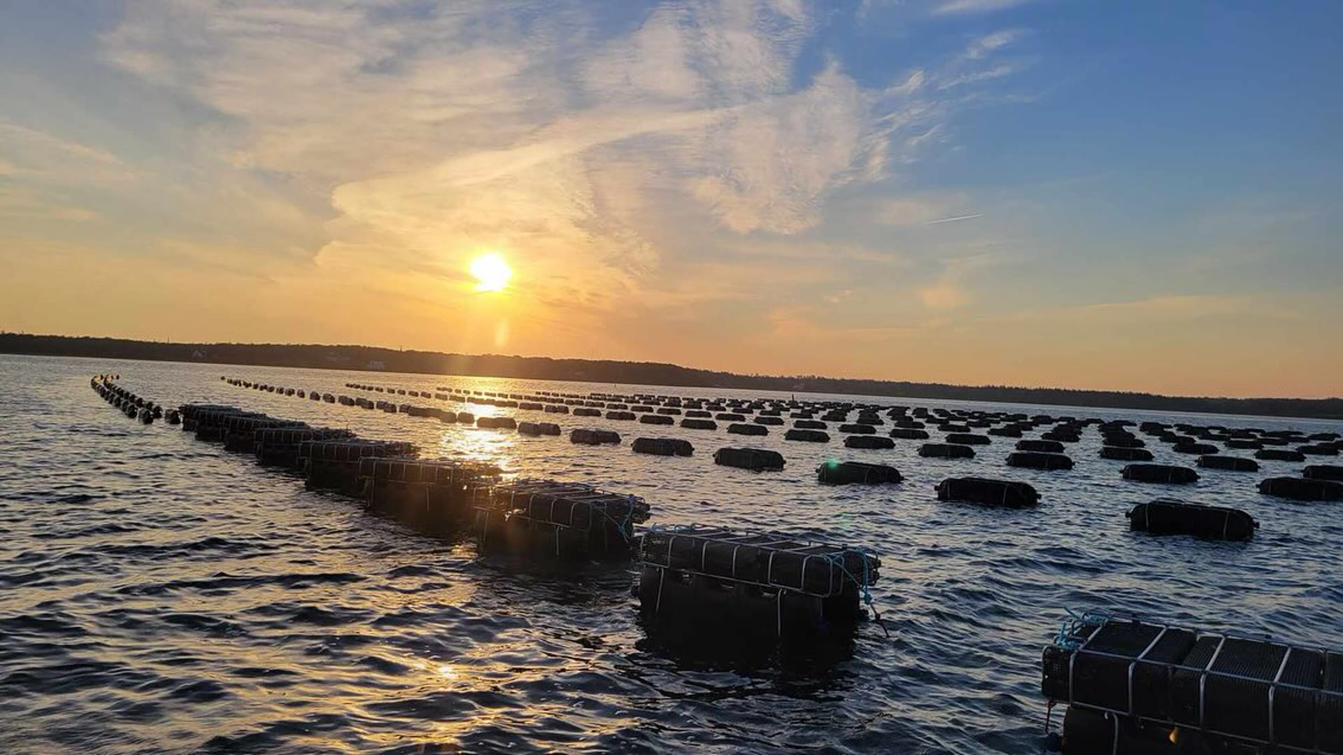 Atlantic ocean aquaculture scene